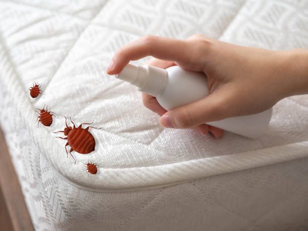 Indoor Pest Control in Wantagh, NY